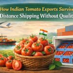How Indian Tomato Exports Survive Long-Distance Shipping Without Quality Loss